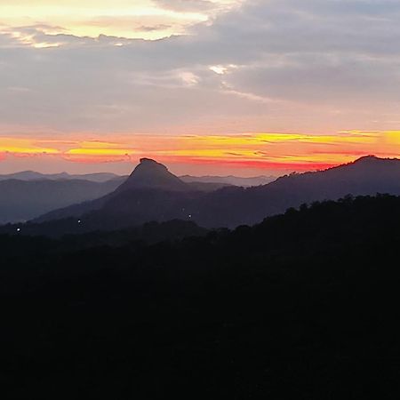 Apartament Nandana'S Residency Munnar Zewnętrze zdjęcie